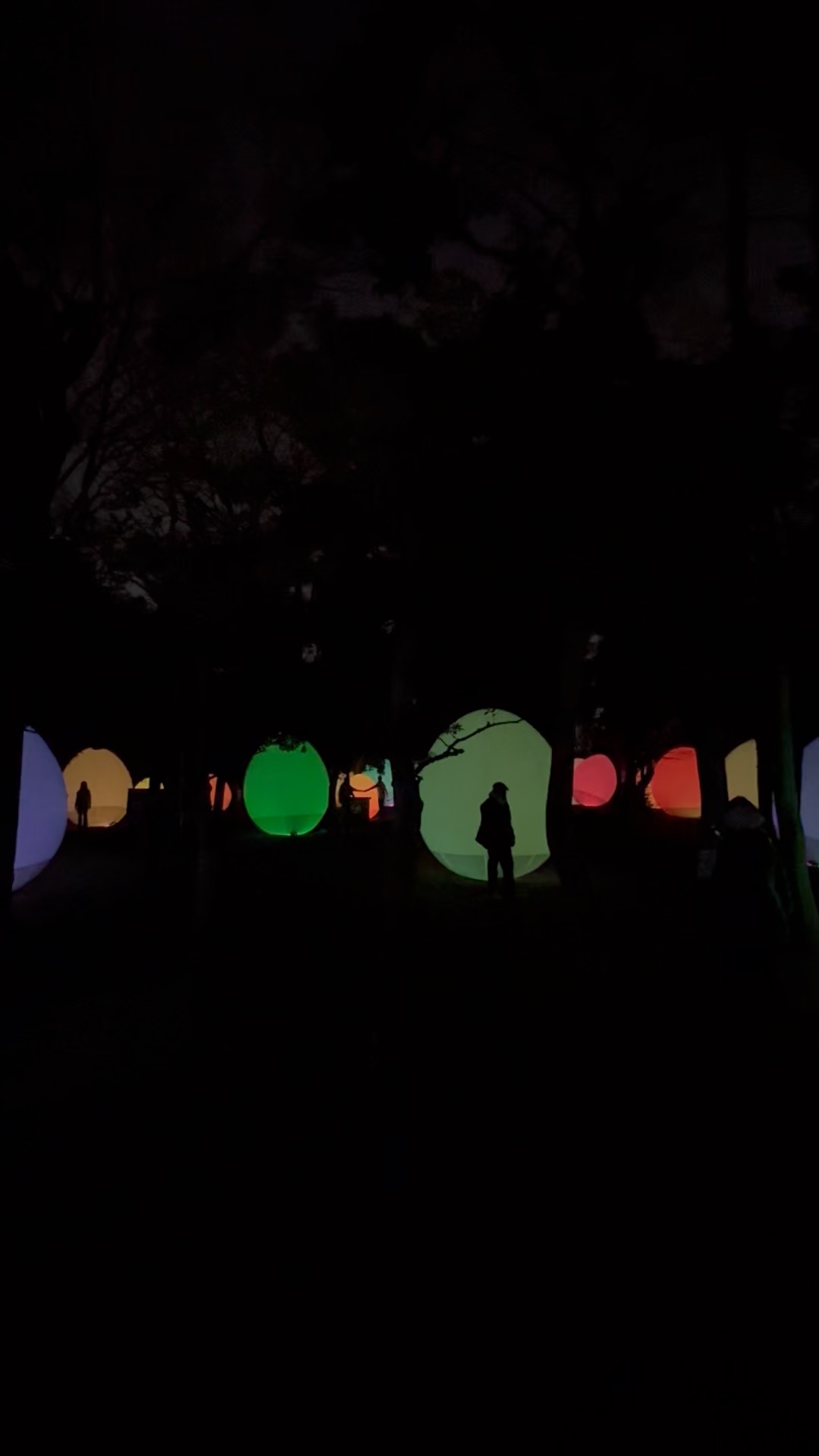 Glowing orbs in the dark at Osaka Botanic Garden