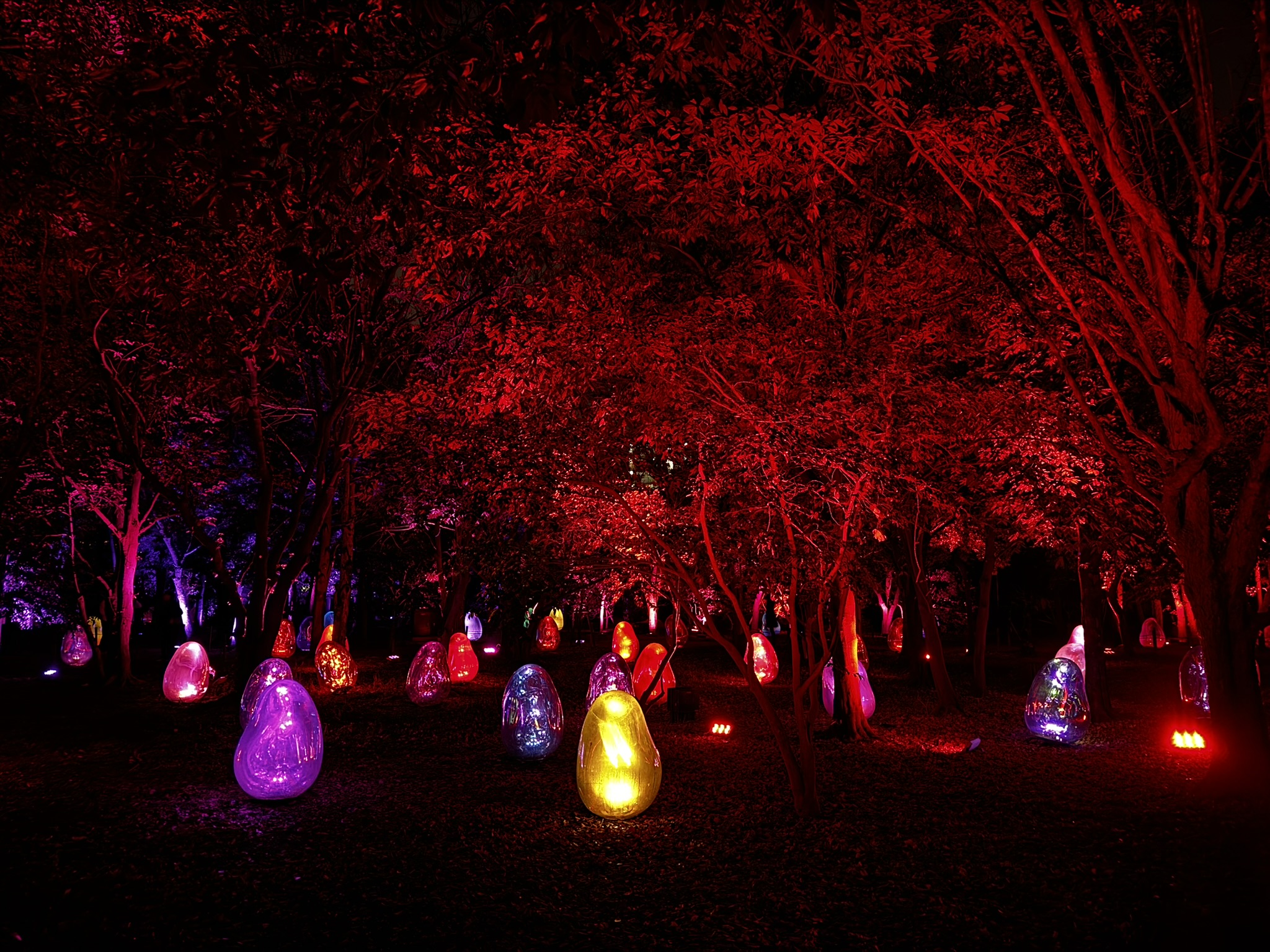 Colorful glowing light installation among trees at Osaka Botanic Garden