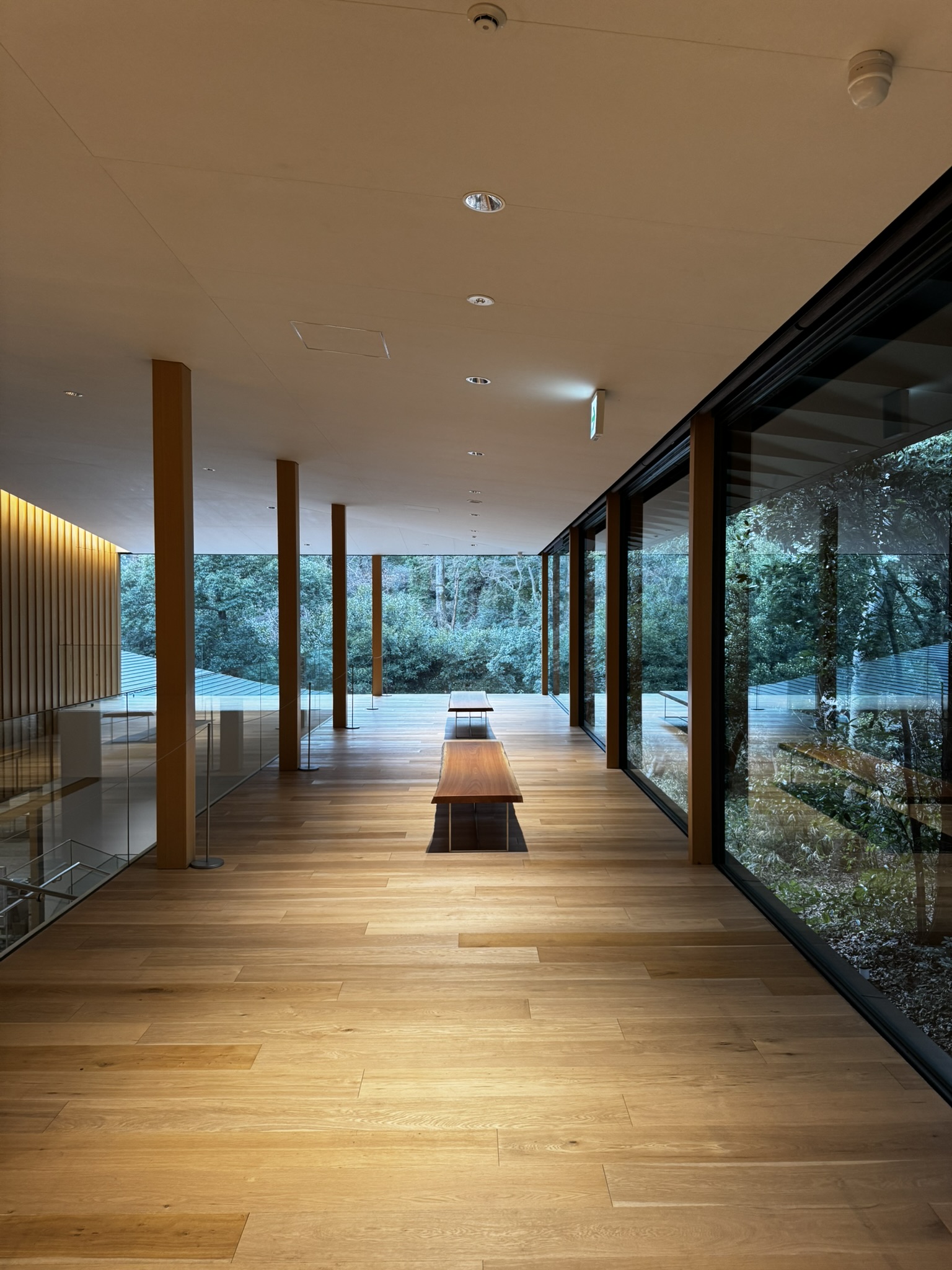 Wooden corridor near Meiji Jingu with forest views through glass