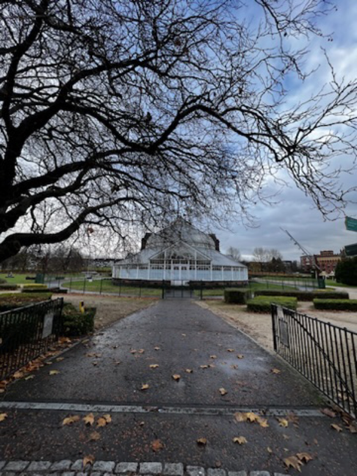 Glasshouse framed by bare trees in Glasgow